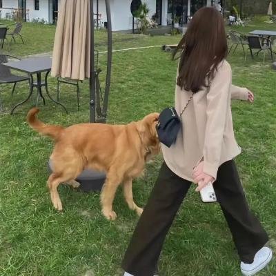 她的摇滚滋味